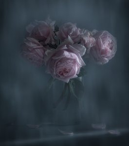 Moody Pink Roses by Judy Tseng