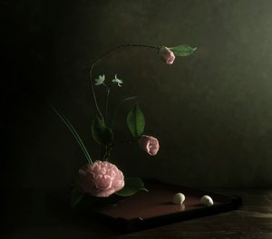 Pink Camellia Ikebana by Judy Tseng