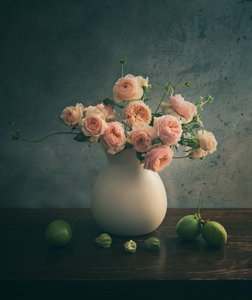 Pink Roses Still Life by Judy Tseng