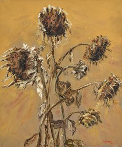 Dried Autumn Sunflowers