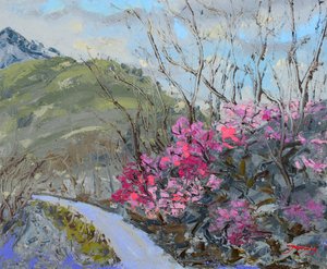 Flowering Mountain Path