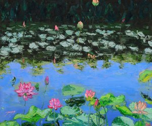 Pink Lotus Reflections