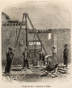 The weighing of the tea before its expedition on commercial markets in a gunpowder factory in Fati Bay (Canton Province), engraved after a drawing by J. Ferat illustrating the voyage to China, by J. Thompson, in 1870-1872, published in “Le tour du monde” 1