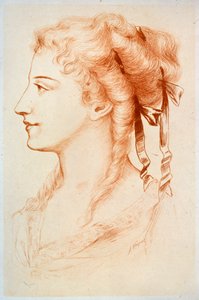 Portrait of a Young Lady