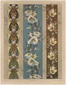 Flowers, Plate 18, Illustration from 