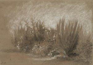 Broom and Brambles by Jules Dupré