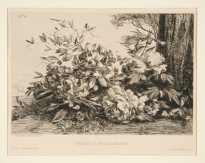 Peonies and Rhododendrons by Jules Ferdinand Jacquemart