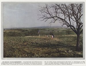 The Marshes Seen from Mondement