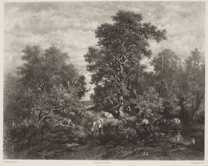 The Pond, after Théodore Rousseau