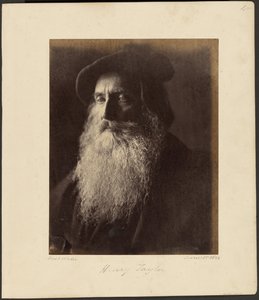 Henry Taylor by Julia Margaret Cameron