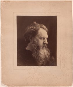 James Thomas Fields by Julia Margaret Cameron