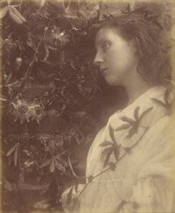 Maud There has Fallen a Splendid Tear From the Passion Flower at the Gate