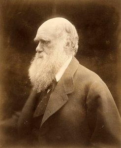 Portrait of Charles Darwin
