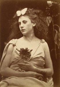 The Sunflower by Julia Margaret Cameron
