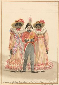 A Sandwich Islands Group by Julia Swinburne
