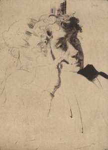 Reflections, 1885-1893