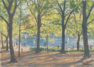 Central Park, New York by Julian Barrow