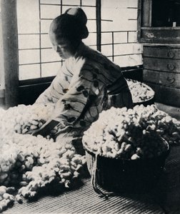 5000 silkworms eat 125 lbs of mulberry for 8 skeins of silk, making one kimono