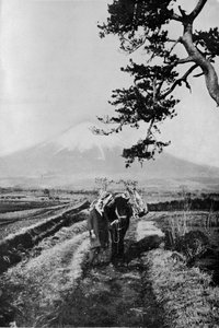 Peasants of the region of Fuji not by name but merely as O Yama, the Honourable Mountain