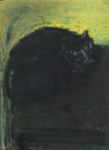 Black Cat, 2017