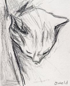 Sleeping Cat by Julie Held