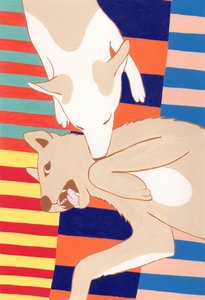 Playful Dog Affection