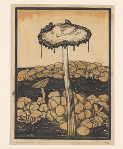 Dripping Mushroom