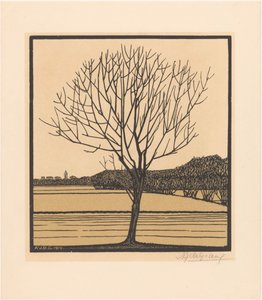 Bare Tree