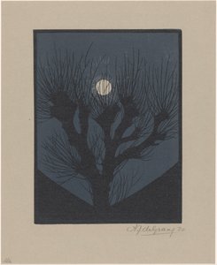 Moonlit Night