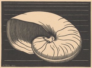 Shell by Julie de Graag (signed by artist)