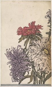Chrysanthemums