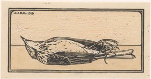 Dead bird