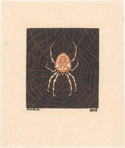 Spider in a Web by Julie de Graag
