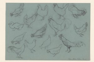 Study Sheet with Chickens by Julie de Graag