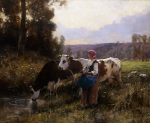 Cows at the Watering Hole