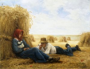 Harvest Time