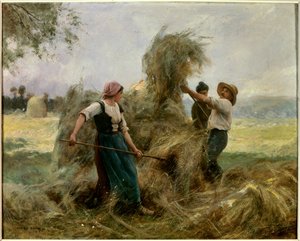 The hay