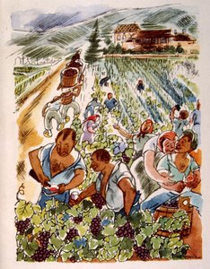 French Vineyard. 1944. Illustration by Julien Pavil