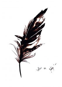 Elegant Feather Study