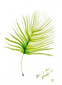 Green Palm Leaf Watercolor by Julija Belickienė