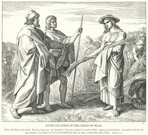 Ruth Gleaning in the Field of Boaz