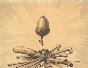Acorn Strength