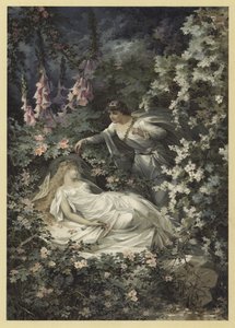 Illustration for A Midsummer Night