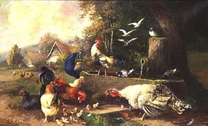 Poultry by a Pump