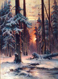 Winter Sunset in the Fir Forest