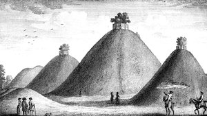 The Bartlow Hills, Raised Over the Slain by June Barnato