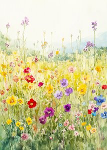 Colorful Wildflower Field by Justyna Jaszke