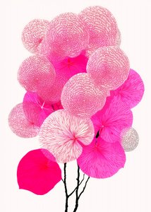 Modern Pink Botanicals