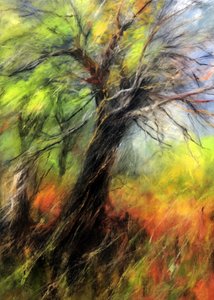 Vibrant Autumn Tree by Justyna Jaszke