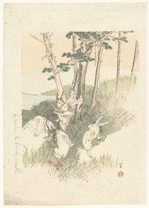 Rabbits and a Mole